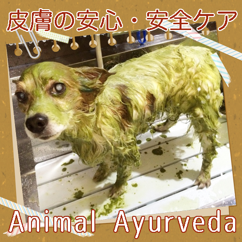 Animal_Ayurveda